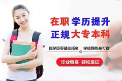 远程网络教育专升本高起专招生学习托管不用线下考试 远程网络教育专升本高起专招生学习托管不用线下考试
